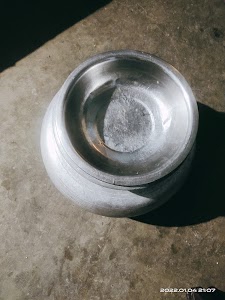 Moradabadi biryani