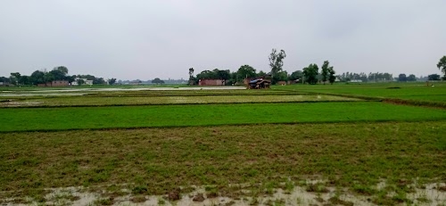 Kukurha