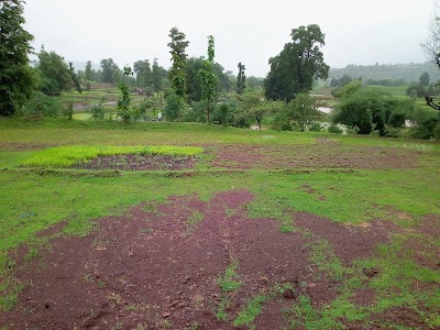 Suliya