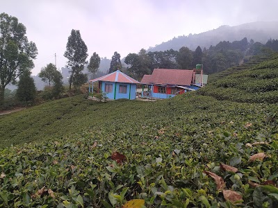 Sittong Orange Garden Homestay