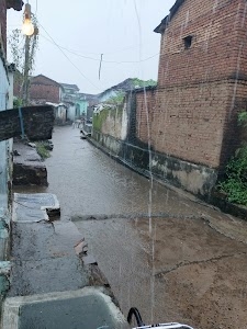 Bijawali