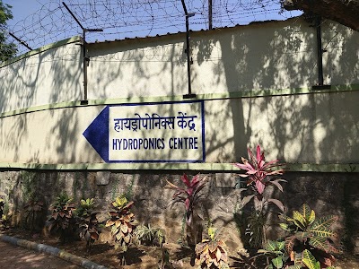 Reserve Bank of India College of Agricultural Banking