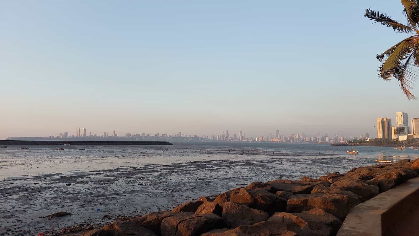 Cuffe Parade Park