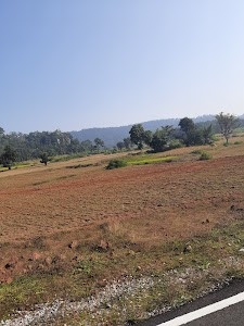 Punjab Mandi Board
