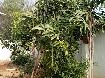 Thotapally Subrahmanyam Statue