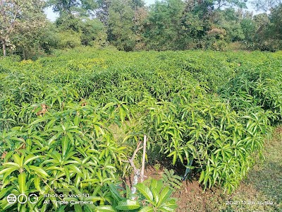 Dalpatpur