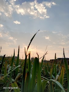 Ghari