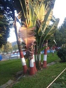 Shishu Vidyapith Chiriyakhana Primary School