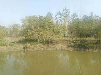 Daha River