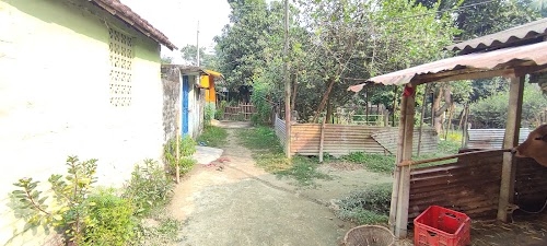 Das house