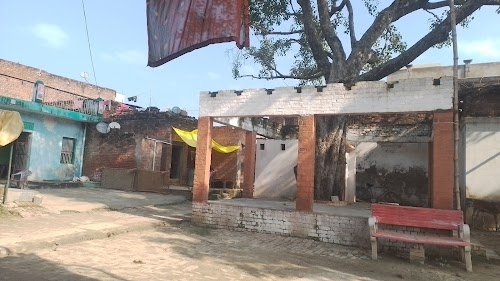 Senapur