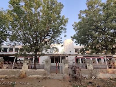 Garden Collectrate Circle Churu