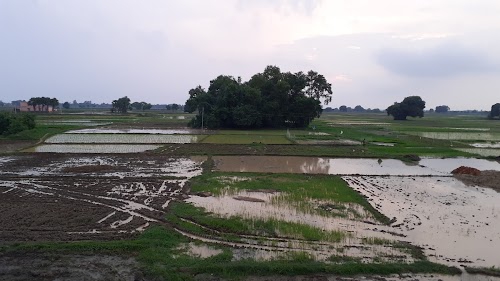 Charpokhari
