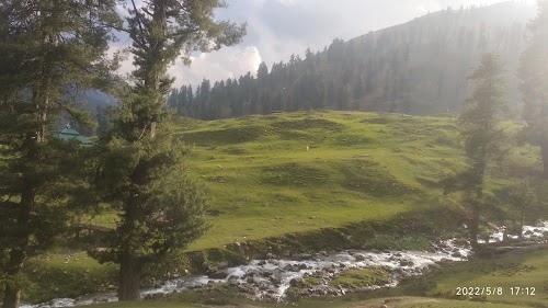Wildlife / R and B Hut Dubjan