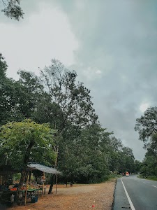 Dulung Forest Reserve