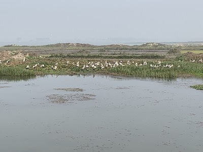 Gogabil Lake Katihar