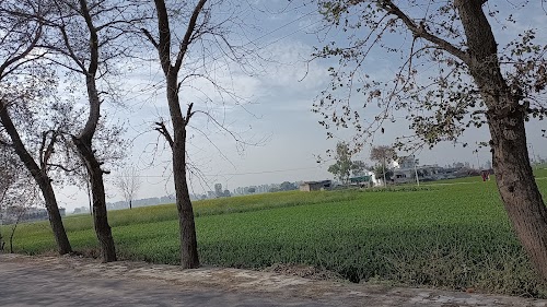 Shree Krishna Gaushala, Munak