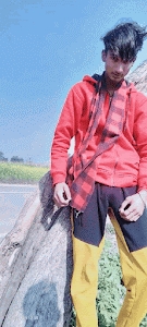 Mohanipur