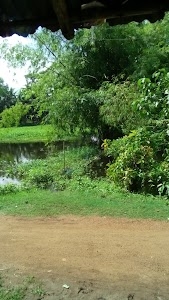 Maa Manasa Mandir