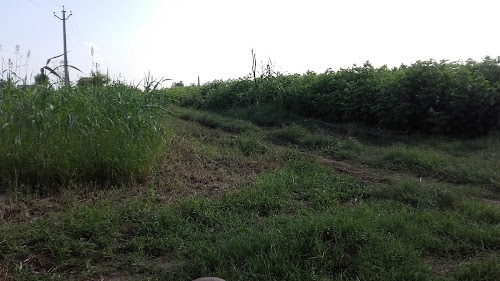 Pratappura