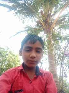 Nimgaon Sinnar