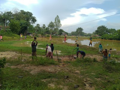 Potahar Play ground