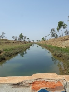 Saluka