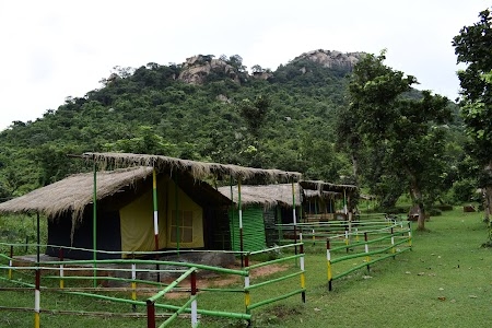 Resorts Sonkupi Banjara Camp
