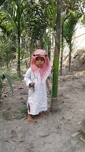 Pabho Majharul Ulum Madrasa