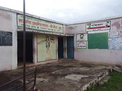 Govt.primary school borkheda khurd