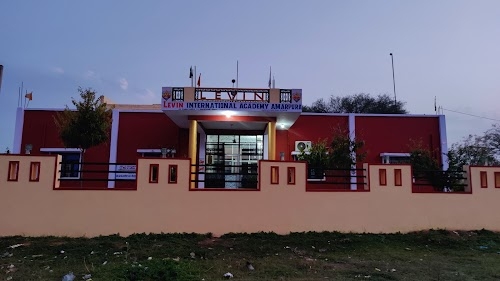 LEVIN INTERNATIONAL ACADEMY