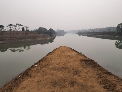 Damodar Nadirchar