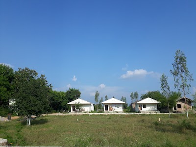 Royal smart city