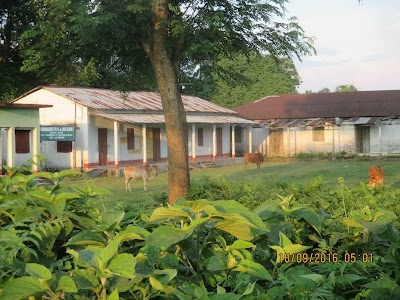 Chowakheti Jr. high Schooool