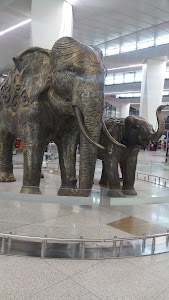 RAM LEELA FIELD राम लीला मैदान