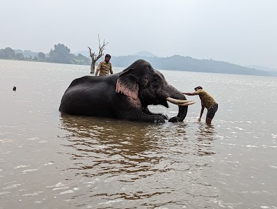 Sakrebyle Elephant Camp