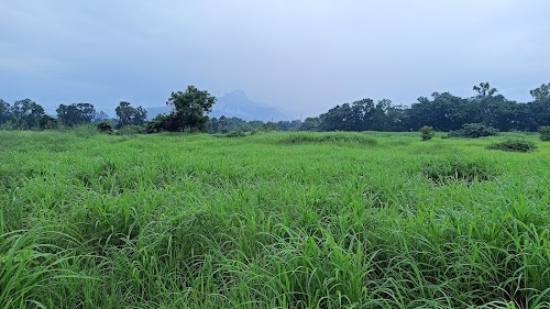 Ghotkamp Koyana Vele, Taloja