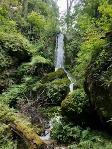 Shergaon