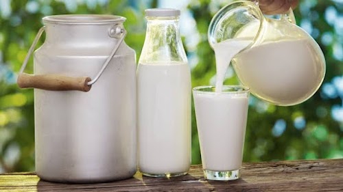 SURESH MEENA DAIRY FARM RICO AREA DUBBI BANAS