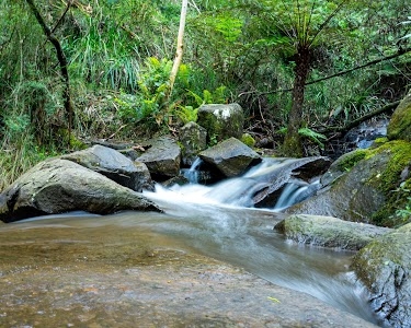 Olinda Falls