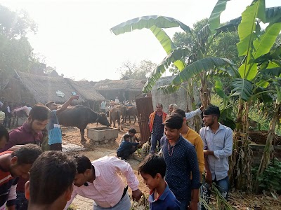 Nathapurwa lakh