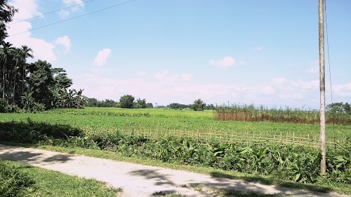 Popragaon Pt I