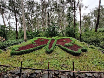 Butterfly Park