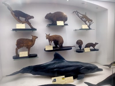 Kolkata Museum of Modern Art