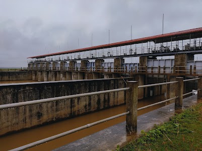 Moijonga