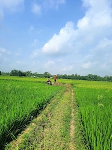 Sahapur, Nalpur