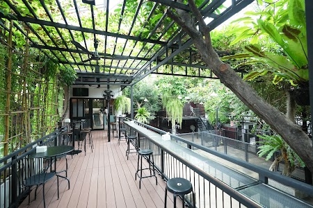 TrueLove @ Neverland (Husky Cafe)