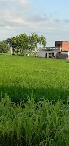 Gahani