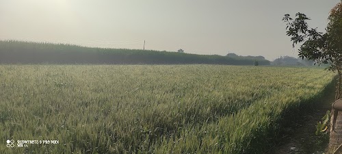 Halde Farm