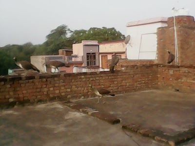 Gurawara